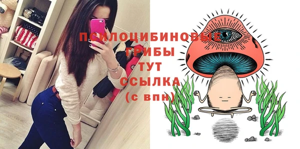 соль курить ск Новозыбков