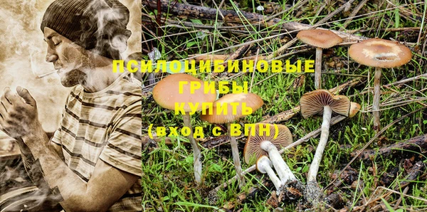 дживик Новодвинск