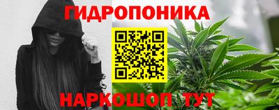 трава Бийск