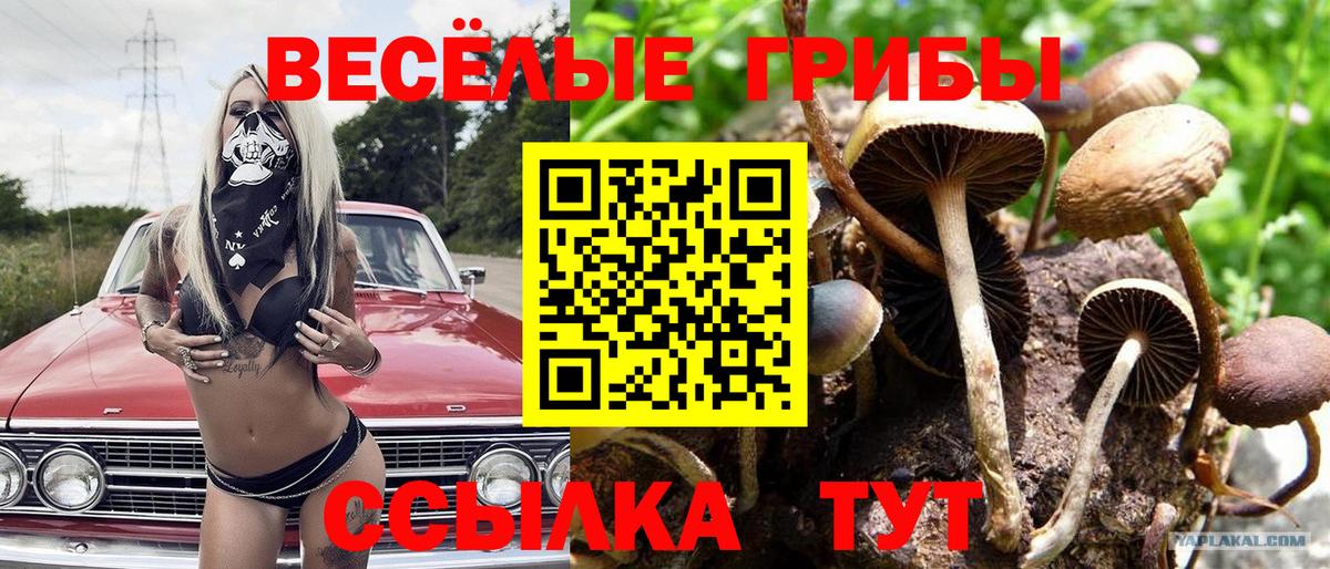 Галлюциногенные грибы Magic Shrooms  Елец 