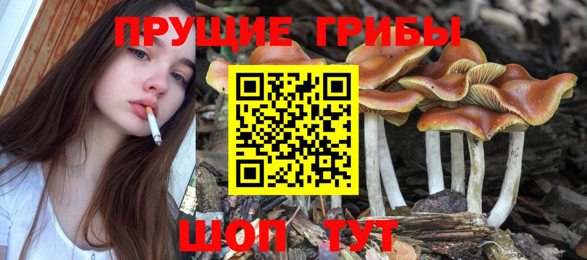 Елец  купить закладку  Вход с VPN  Галлюциногенные грибы ЛСД  Галлюциногенные грибы прущие грибы 