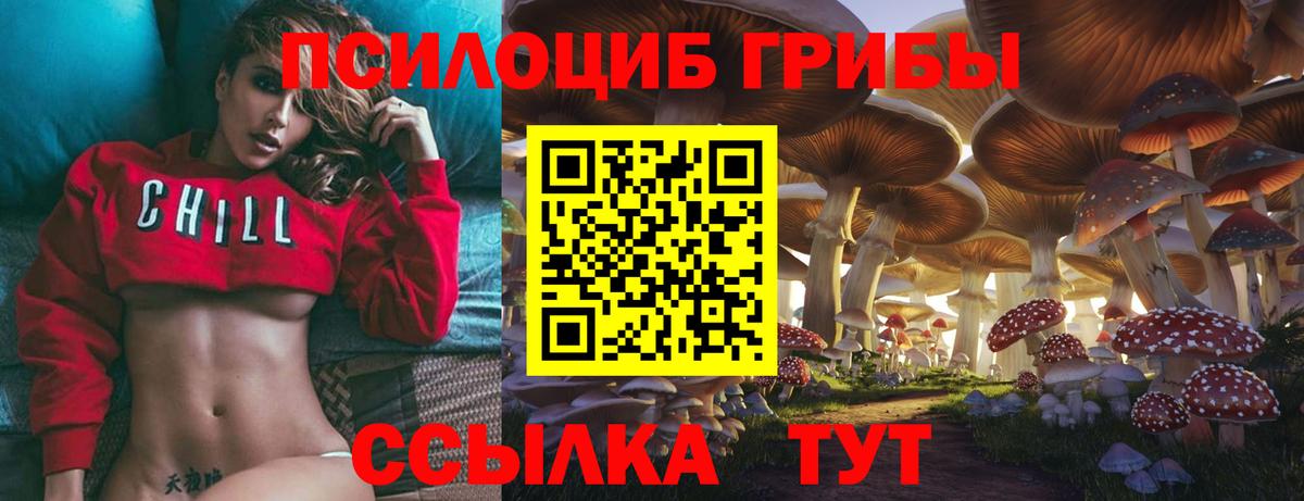 Галлюциногенные грибы ЛСД Елец