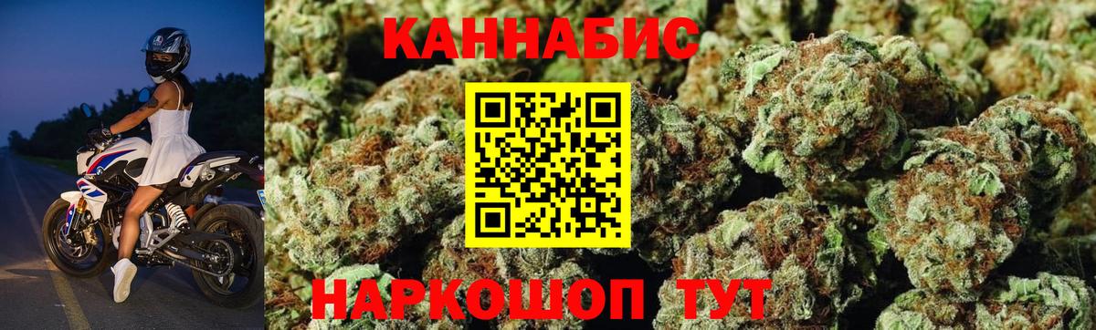 Бошки Шишки планчик Елец