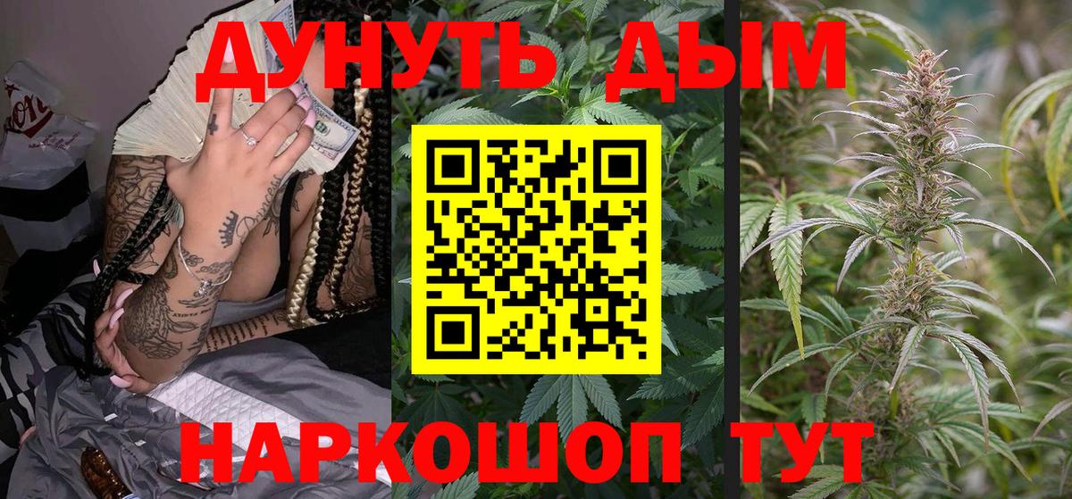 МАРИХУАНА сатива Елец